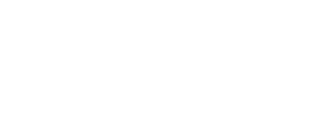 Bali Central Travel logo